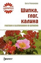 Шипка, глог, калина: очистване и възстановяване на организма