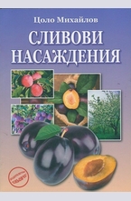 Сливови насаждения