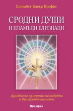 Сродни души и пламъци близнаци