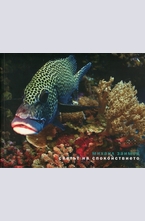 Светът на спокойствието