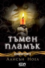 Тъмен пламък