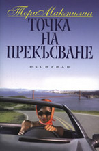 Точка на прекъсване