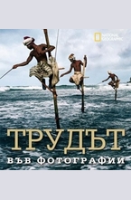 Трудът във фотографии