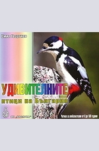 Удивителните птици на България