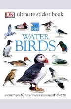 Water Birds