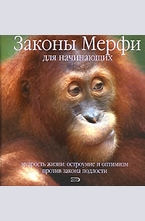 Законы Мерфи для начинающих
