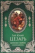 Записки о войне. Стратегия диктатора