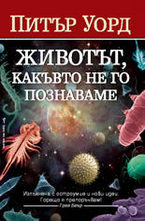 Животът, какъвто не го познаваме