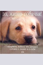 Эх, жизнь собачья!
