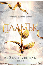 4: Пламък