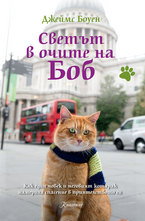 Светът в очите на Боб