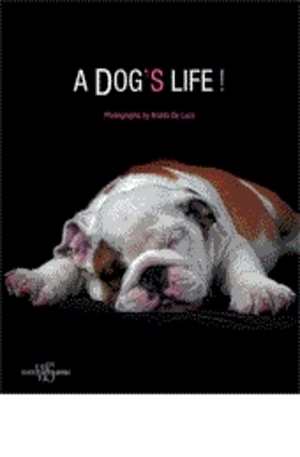 Книга - A dogs life
