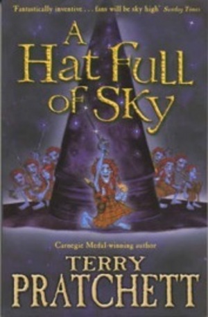 Книга - A hat full of sky