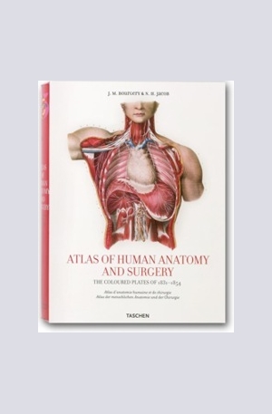 Книга - Atlas of Anatomy
