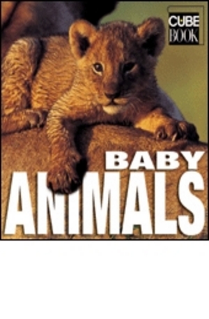 Книга - Baby animals