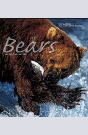 Книга - Bears: The Solitary Rulers