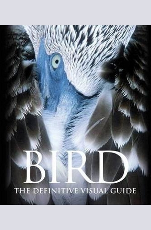 Книга - Bird
