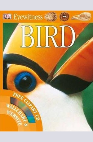 Книга - Bird
