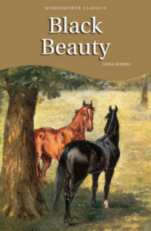 Книга - Black Beauty