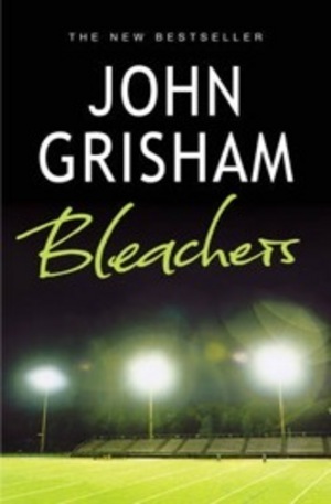 Книга - Bleachers