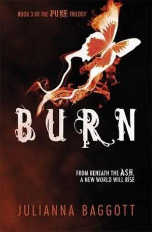 Книга - Burn