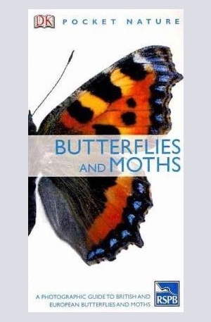 Книга - Butterflies and Moths