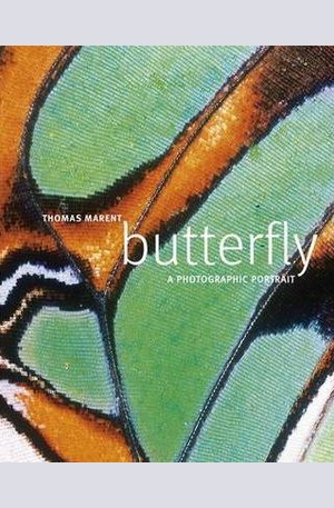 Книга - Butterfly