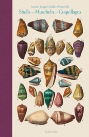 Книга - Dezallier dArgenville, Shells