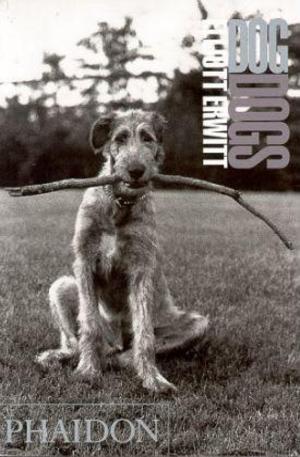 Книга - Dog Dogs