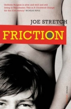 Книга - Friction