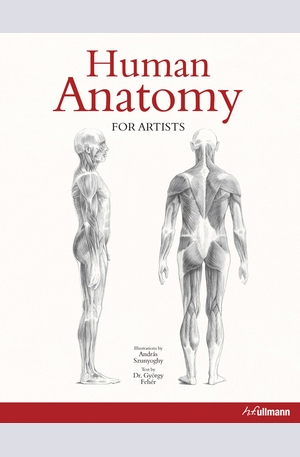 Книга - Human Anatomy For Artists