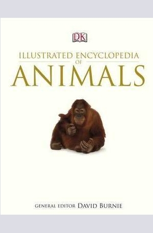 Книга - Illustrated Encyclopedia of Animals