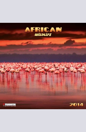Продукт - Календар African Wildlife 2014