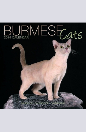 Продукт - Календар Burmese Cats 2014