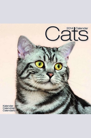 Продукт - Календар Cats 2014