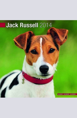 Продукт - Календар Jack Russell 2014