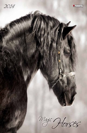 Продукт - Календар Magis Horses 2014