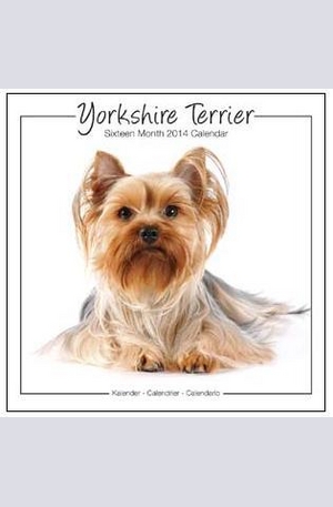 Продукт - Календар Yorkshire Terrier 2014