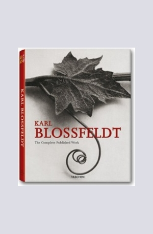 Книга - Karl Blossfeldt
