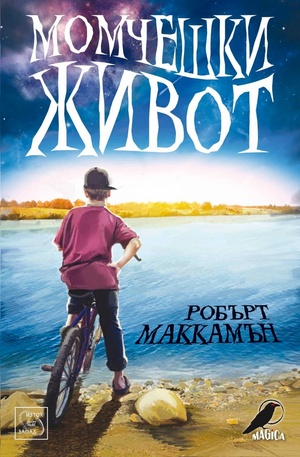 Книга - Момчешки живот