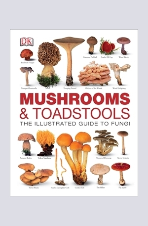 Книга - Mushrooms & Toadstools