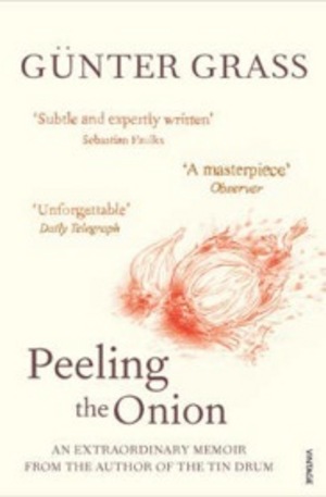Книга - Peeling the Onion