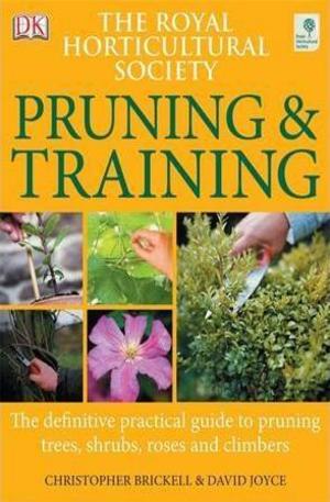 Книга - Pruning and Training