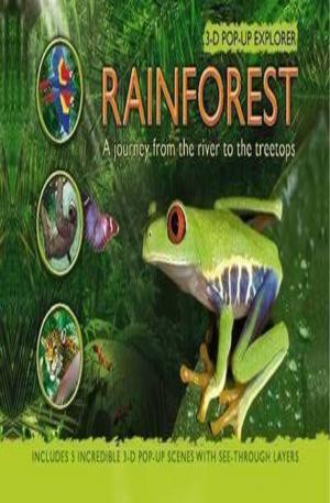 Книга - Rainforest 3-D Pop-up Explorer