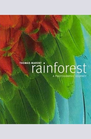 Книга - Rainforest