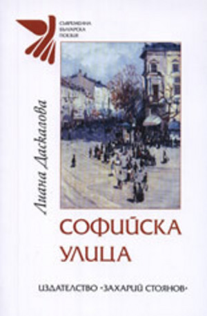Книга - Софийска улица