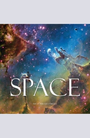 Книга - Space