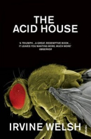 Книга - The Acid House