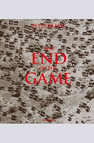 Книга - The End of the Game