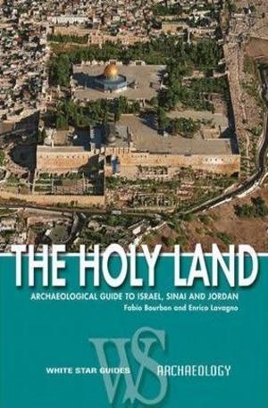 Книга - The Holy Land